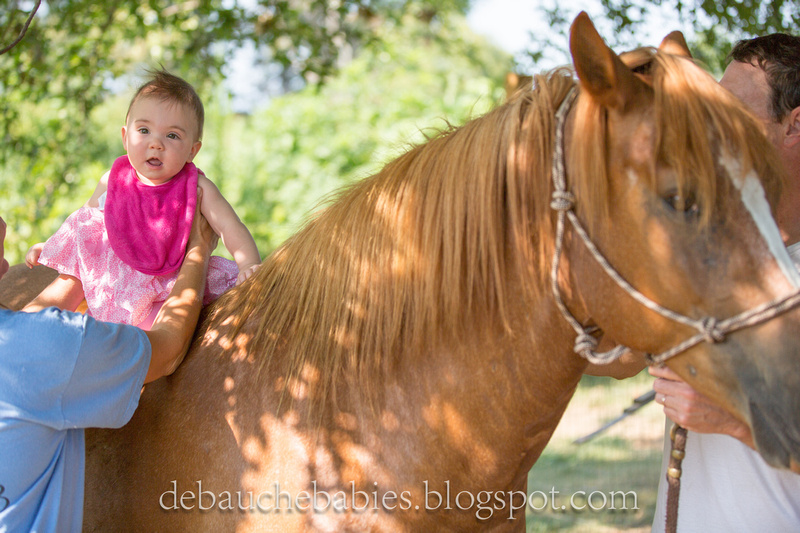 Jeremy DeBauche Photography: DeBauche babies blog &emdash; 